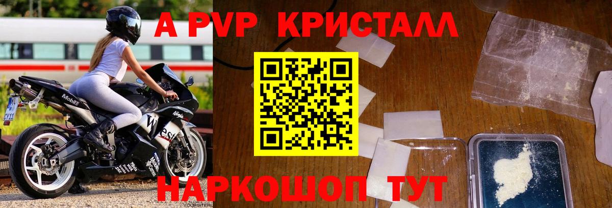 Альфа ПВП СК КРИС Славгород